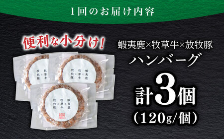 【全3回定期便】 【蝦夷鹿×牧草牛×放牧豚】ハンバーグ 3個 《厚真町》【GOODGOOD株式会社】 ハンバーグ 鹿肉 牛肉 豚肉 小分け 冷凍配送 北海道[AXBP015]