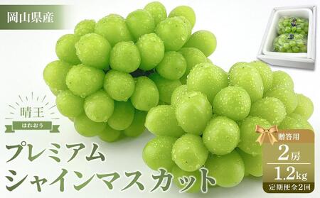 【定期便 全2回】2026年先行予約 プレミアム　シャイン　マスカット  晴王 ２房 約1.2kg  2回定期便　９月・１０月に１回づつお届け　岡山県産　船穂産　赤秀品  種無し 皮ごと食べる  フレッシュ 贈答用　ハレノフルーツ