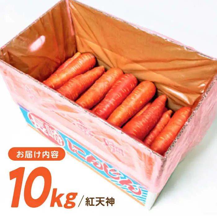 ※【2027年1月上旬より順次発送／先行予約】真っ赤なにんじん「紅天神」10kg AHCU002 にんじん