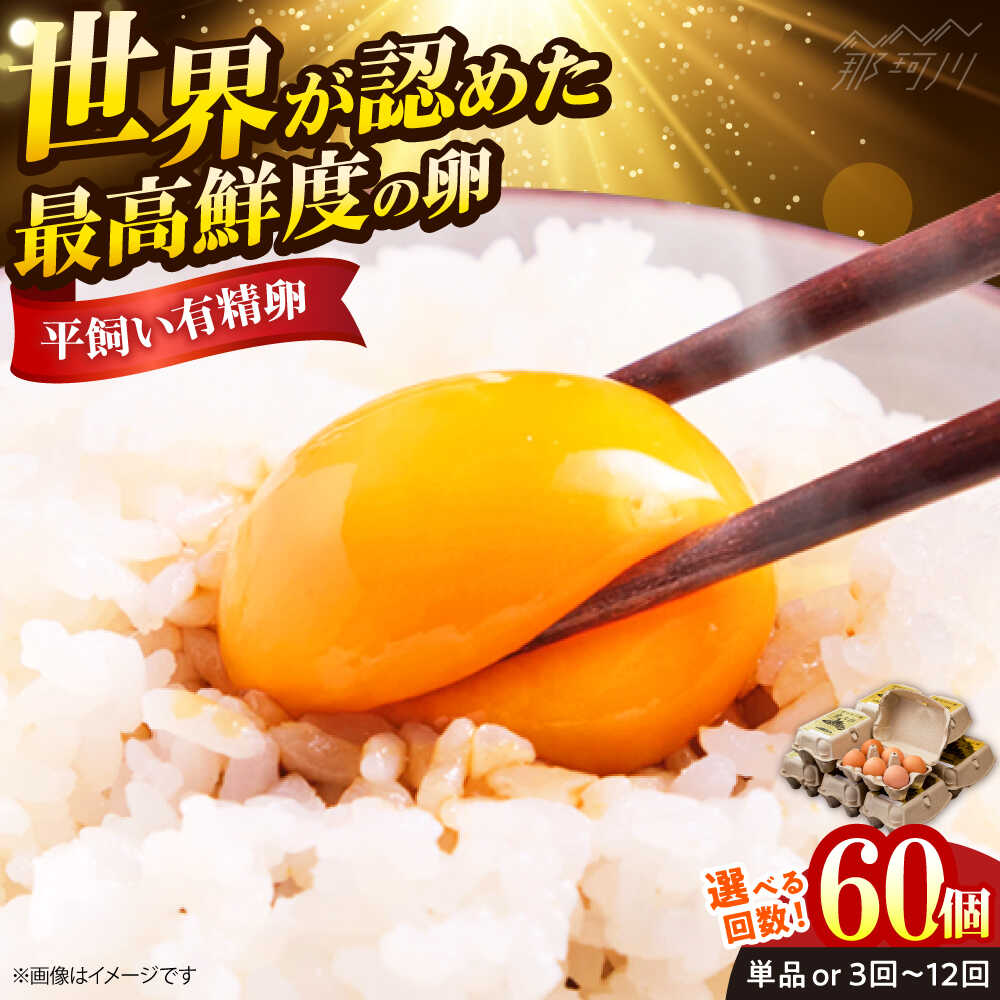 【ふるさと納税】【選べる回数】【TVで紹介！鮮度AA級の世界最高ランク！】金太郎卵 平飼い たまご 60個（6個×10パック）＜有限会社 フジノ香花園＞那珂川市 | 卵 定期便 こだわり 餌 平飼い 有精卵 卵かけご飯 新鮮 生卵[GAM004]