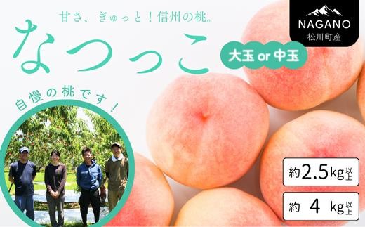 
                  桃 なつっこ 大玉 or 中玉  約2.5kg以上 ～ 4kg以上／2026年8月上旬～8月中旬頃 発送予定｜長野県 南信州 松川町産 モモ もも  贈答 産地直送 新鮮 特大 中玉 選べるサイズ 川中島白桃 あかつき かけ合わせ KM
                