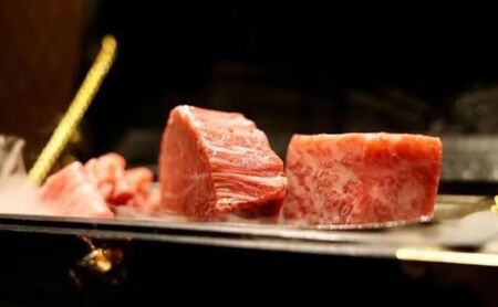 チケット 東京 【ディナー限定】和牛×フレンチ×イノベーティブ HIKARI 季節のおまかせコース ディナーペアお食事券 おまかせ コース ディナー 高級感  A5黒毛和牛 魚 野菜 豊島区 東京都