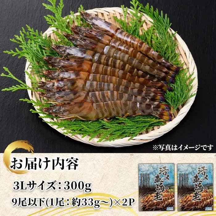 車海老 ソフトシェル 3L・計約600g 冷凍 【車海老】 n433