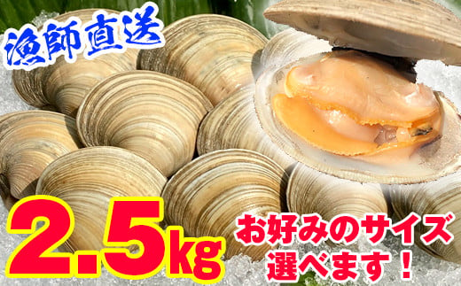 
漁師直送！活ホンビノス貝2.5kg
