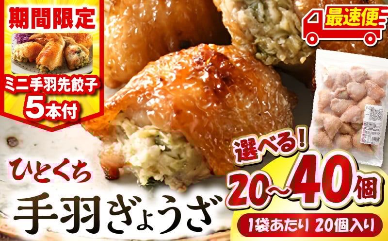 
            【内容量・発送時期が選べる】【期間・数量限定】ひとくち 手羽 ぎょうざ 20個(1パック)or40個(2パック)・手羽先餃子(小サイズ5本) | 餃子 ぎょうざ 手羽 肉 お肉 手羽先 手羽先餃子 手羽先ぎょうざ 宮崎餃子 ご当地 グルメ ご当地グルメ おつまみ おかず 中華料理 焼き餃子 揚げ餃子 鶏肉 豚肉 牛肉 一口 ひとくち 一口サイズ 冷凍 宮崎 宮崎市 ｜_M025-005-SKU
          