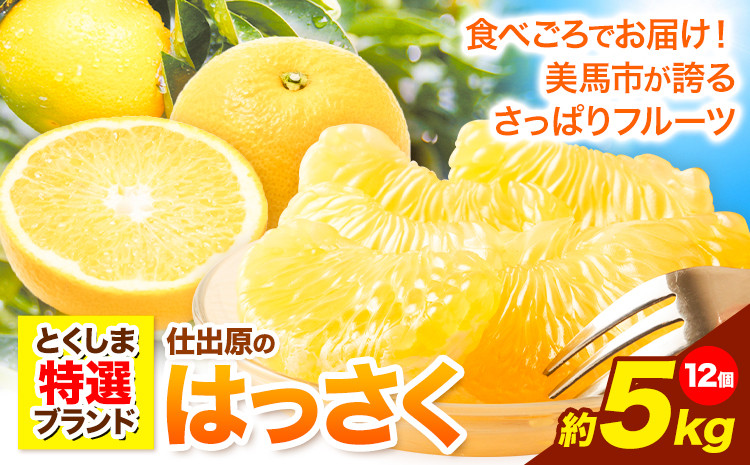 
            八朔 はっさく 約5kg 12個  ＜ 先行予約 ＞ 《2025年2月上旬‐2025年3月上旬頃出荷》仕出原八朔生産組合 果物 くだもの フルーツ 特選 ゼリー ジュース ピール 徳島県 美馬市
          