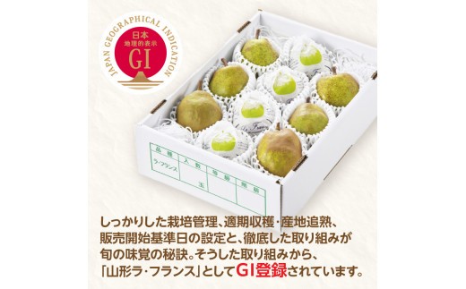 《先行受付》ラフランス 約3kg （7～11玉） 【2026年11月上旬頃～発送予定】【山形洋梨】