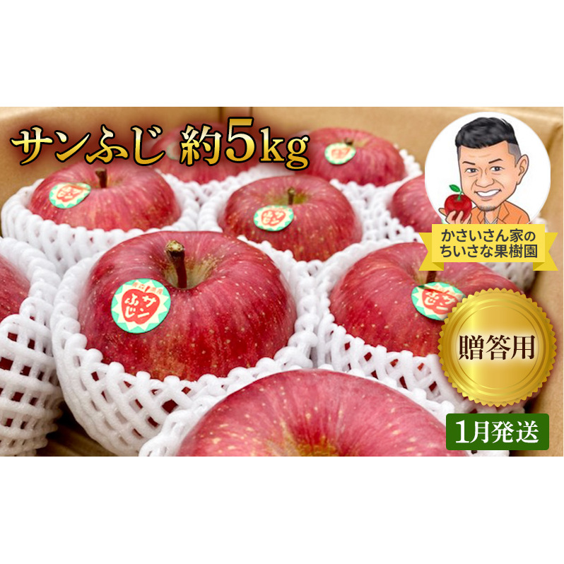 【1月発送】 贈答用 サンふじ 約 3kg 【弘前市産・青森りんご 】