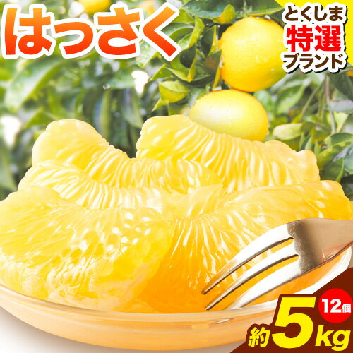 【ふるさと納税】＜ 先行予約 ＞ 八朔 はっさく 約5kg 12個 仕出原八朔生産組合《2026年2月上旬‐2026月3月上旬頃出荷》| とくしま特選ブランド 徳島県 美馬市