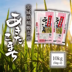 【令和5年産】茨城県稲敷市産あきたこまち10kg(5kg×2)