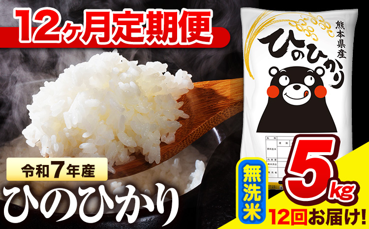 令和7年産 無洗米 【12ヶ月定期便】 ひのひかり 5kg《お申込み翌月から出荷》 熊本県産 無洗米 精米 氷川町 ひの 送料無料 ヒノヒカリ コメ 便利 ブランド米 お米 おこめ 熊本---hkw_lcl_168_mo12_tei---