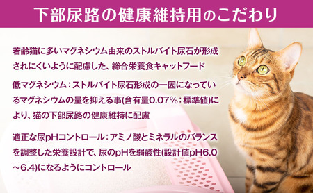 【定期便3回】銀のスプーン三ツ星グルメ 香るお魚仕立て下部尿路の健康維持用 1歳～10歳頃までのお魚レシピ 240g×14箱 3ヶ月連続お届け ペットフード キャットフード 猫のごはん 猫用フード 猫