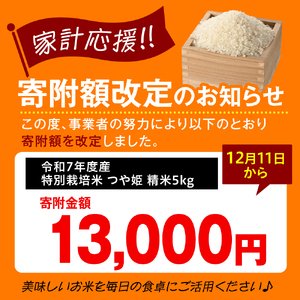 ※2026年3月発送分※ 【令和7年産】 特別栽培米 つや姫 5kg 〔精米〕