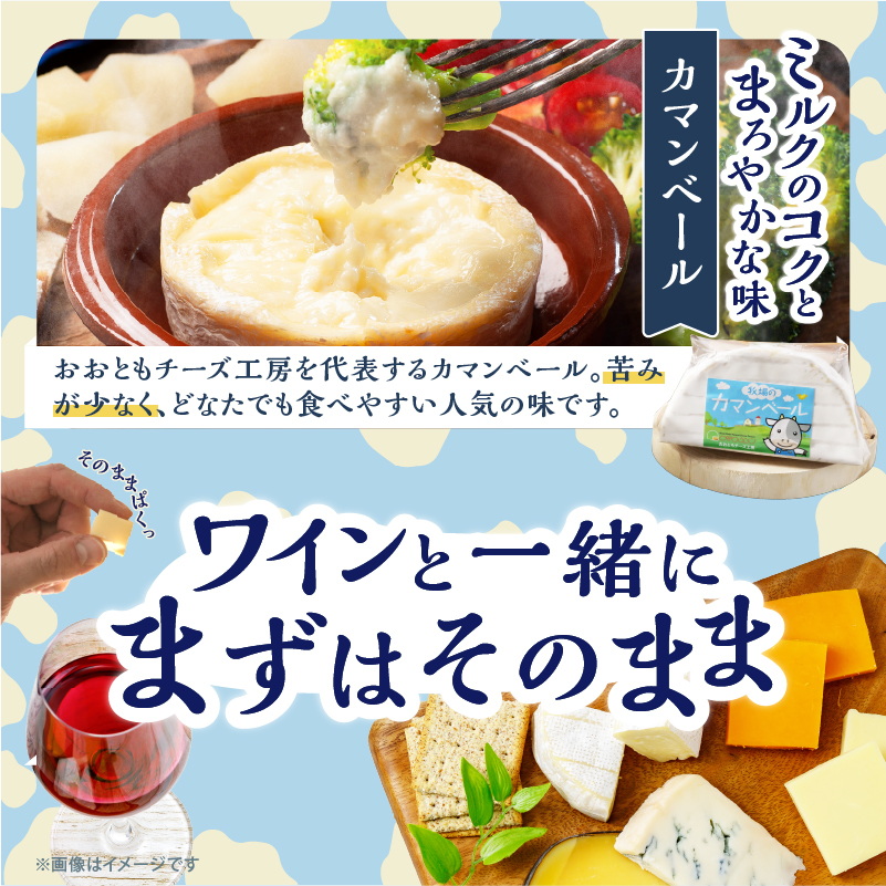【おおともチーズ工房】《人気No1》定番の手造りナチュラルチーズ詰め合わせ_H0003-102