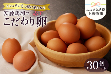 【山梨県産 卵】ミシュランも選ぶ高級卵セット（赤玉 30個）