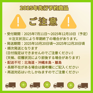 【 先行予約 】 キウイ フルーツ レインボーレッド 約490g （5玉） 希少な赤い果肉の極甘キウイ 山口 阿武町産 フルーツ 果物 デザート【 数量限定 】2025年10月20日頃～12月20日頃