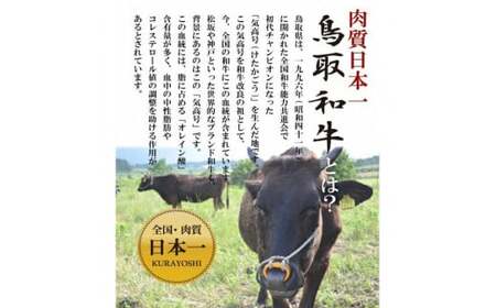 鳥取和牛フィレステーキお肉 肉 牛肉 和牛 鳥取和牛 牛肉 肉 国産 お肉 冷凍ヒレ ステーキ 肉 牛肉 ヒレ フィレ ステーキ