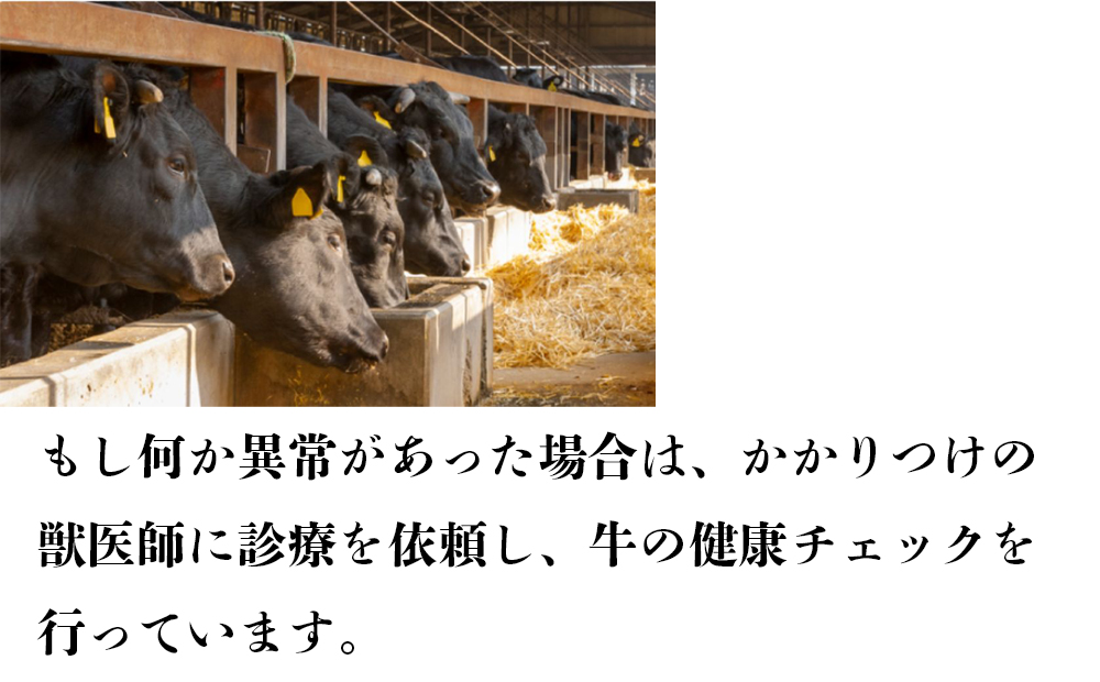 伊勢水沢牛（いせすいざわぎゅう）カルビ 焼肉用 1kg 三重畜産【国産牛 牛肉 お肉 肉 焼肉 カルビ 三重県 四日市市】