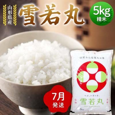 ふるさと納税 戸沢村 ≪2026年7月発送≫ 令和7年度 山形県産 雪若丸 5kg 精米 F7W-0301