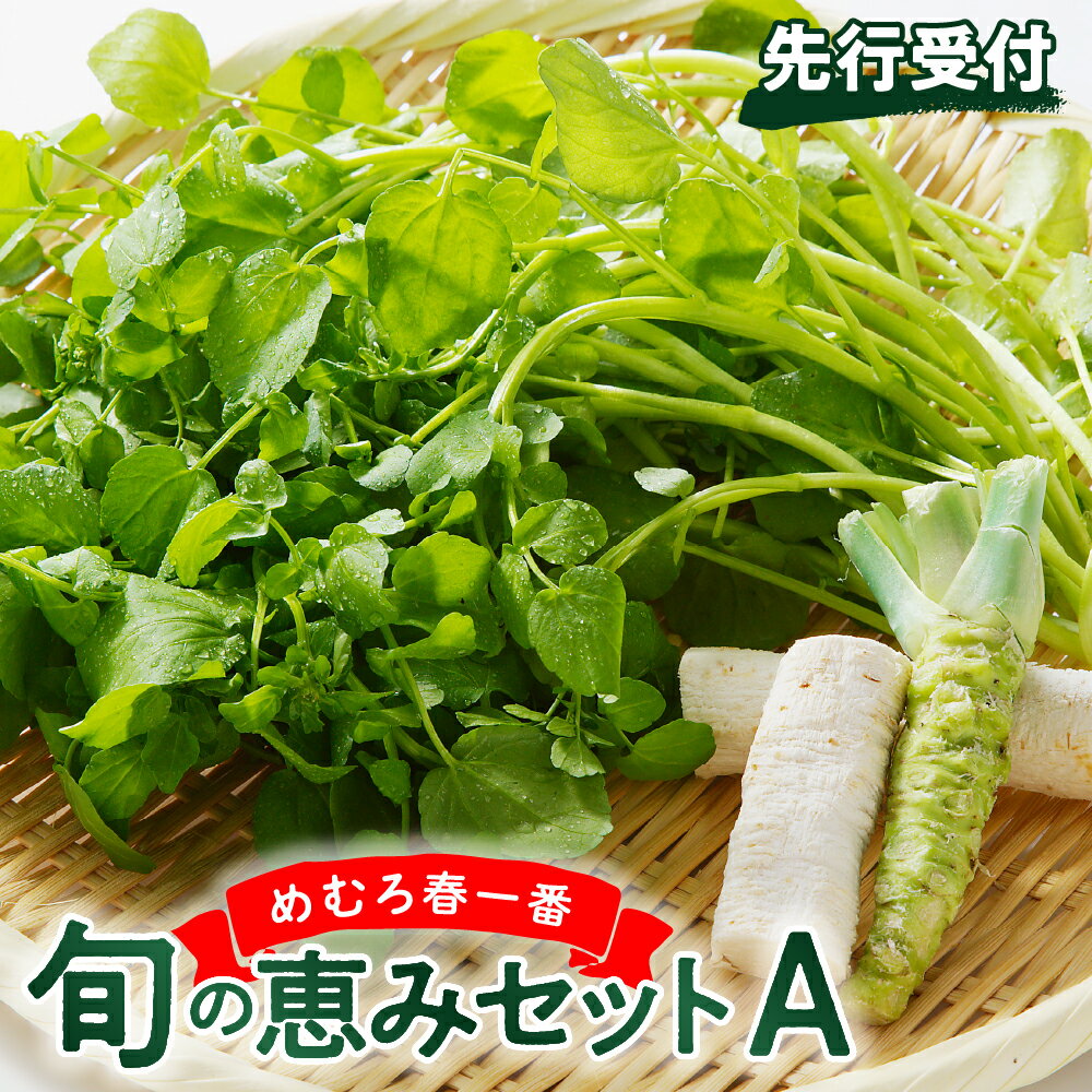 【ふるさと納税】【先行受付】めむろ春一番 旬の恵みセットA【2026年4月下旬より発送】 旬 新鮮 産地直送 本わさび 山わさび サラダ 野菜 クレソン 薬味 香味野菜 おひたし ソテー 付け合わせ 北海道 十勝 芽室町