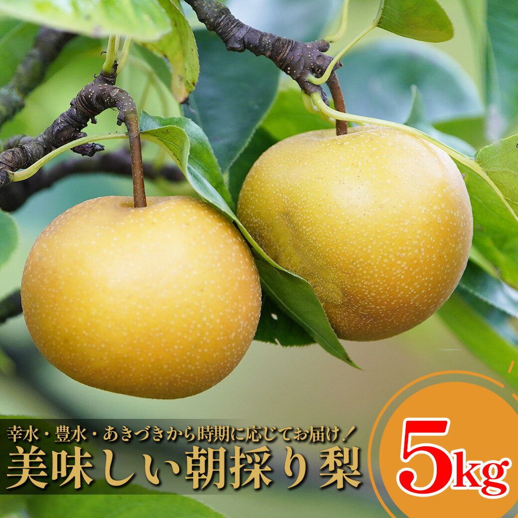 【ふるさと納税】白岡　細田果樹園　味と品質こだわりの梨　5kg　【11246-0281】 幸水 豊水 あきづき 3L～5L