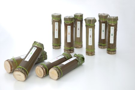 Ｍ１５８　竹千寿10本セット