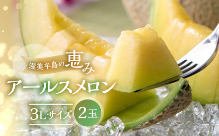【先行予約】メロン 3L×2玉入 アールスメロン T-farm