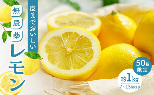
                  【月間50箱限定】皮まで美味しい無農薬レモン 約1kg【栽培期間中農薬不使用 瀬戸田 瀬戸田レモン 檸檬 瀬戸内レモン フルーツ 柑橘 シトラス  有機肥料 防腐剤不使用 レモネード 尾道市 広島】
                