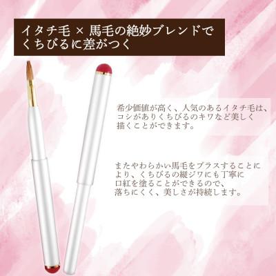 ふるさと納税 松原市 イタチ×馬毛 発色が良く塗りやすい リップブラシ (シルバー) |  | 01