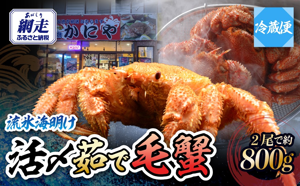 
                  【先行予約】流氷海明け・活〆茹で毛蟹2尾で約800g冷蔵便届け【2027年4月～順次発送開始予定】【 ふるさと納税 人気 おすすめ ランキング 毛がに 毛ガニ 毛蟹 カニ ガニ 蟹 かに ケガニ 冷蔵 800g 2尾 オホーツク海産 流氷明け オホーツク 北海道 網走市 送料無料 】 ABAO111
                