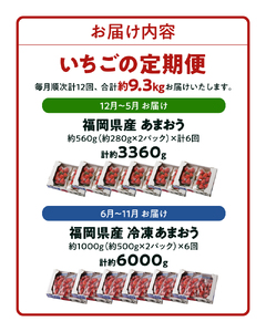 【いちごの年間定期便】　あまおう　約５６０ｇ（約２８０ｇ×２パック）× １２月～５月まで計６回　　 冷凍あまおう　１０００ｇ（５００ｇ×２パック）×６月～１１月まで計６回_Fi052_いちご 定期便 