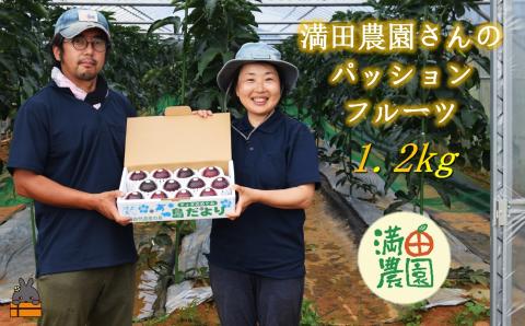 【先行予約】満田農園さんのパッションフルーツ（約1.2kg） ( 旬 パッション フルーツ 果物 島フルーツ 酸味 甘み 徳之島 奄美 鹿児島 プチプチ 食感 果汁 フレッシュ 美味しい 美容 )