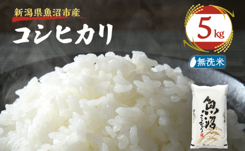 令和7年産【雪国逸品    無洗米5kg】越後魚沼郷    魚沼産コシヒカリ