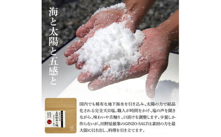 土佐あかうし 特選赤身ブロック 500g（田野屋銀象完全天日塩1P付き） 高知県土佐市 【株式会社LATERAL】 [BQAU031]