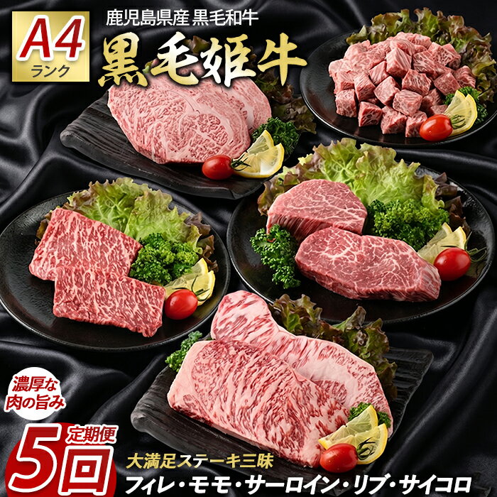 【ふるさと納税】＜定期便！全5回＞大満足 ステーキ 三昧 定期便 黒毛 姫牛 A4ランク リブロース サーロイン フイレ モモ サイコロステーキ 国産 和牛 牛肉 黒毛和牛【Meat you】