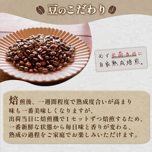 【中挽き】 訳あり コーヒー豆 1kg ( 500g × 2袋 ) ブラジル コーヒー豆 出荷当日 自家焙煎 コーヒー豆 スペシャルティコーヒー 数量限定 コーヒー豆 珈琲 コーヒー ウミノネコーヒー