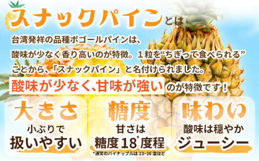 【先行予約】石垣島産 スナックパイン ずっしりの「大玉」3個入り 《2026年5月以降発送》 SI-26-1 大玉 3玉 約3.9kg