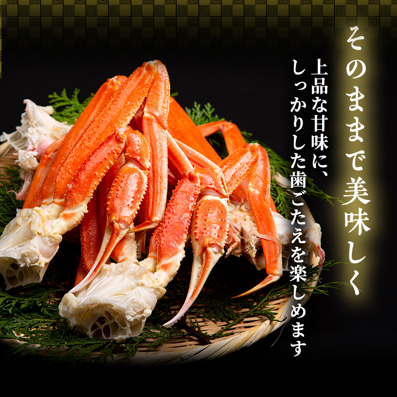 【年内届け】茹で越前ガニ【期間限定】 約700g以上×1杯 茹でガニ 蟹 かに 越前がに 越前ガニ ズワイガニ ずわい蟹 ずわいがに ボイルガニ 魚介 魚介類 海鮮 福井県 福井