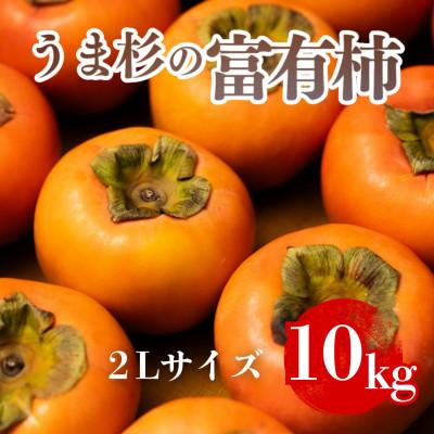 ふるさと納税 瑞穂市 うま杉の富有柿 2L (岐阜県瑞穂市産富有柿)
