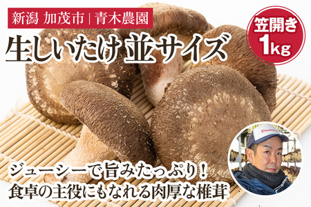 【2025年】生しいたけ 並サイズ（笠開き） 約1kg（23〜35個）