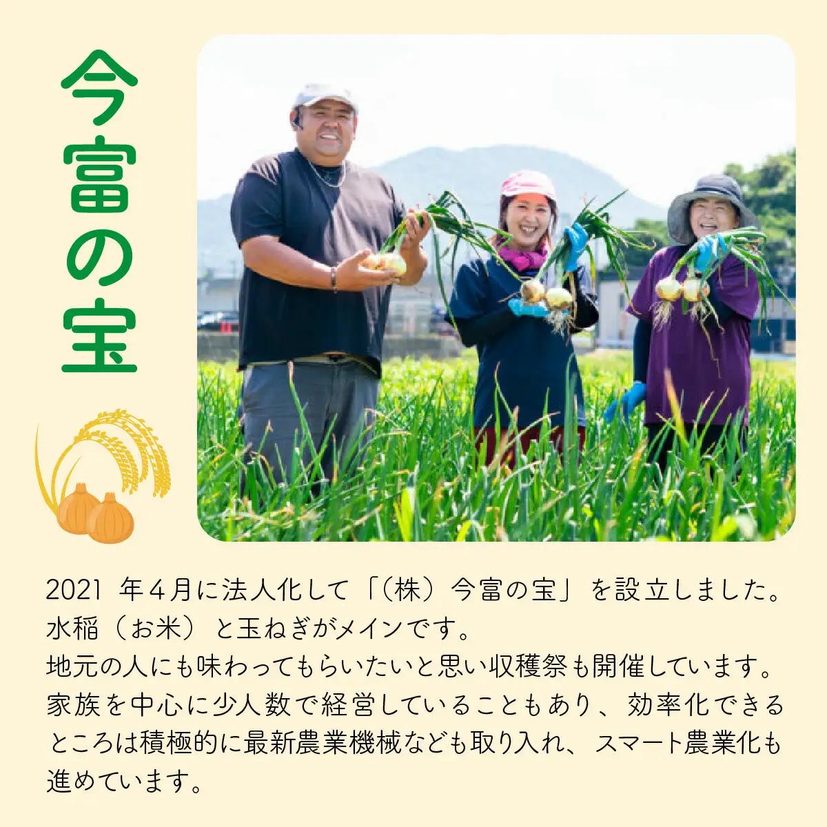 【 先行予約 /11月以降発送】 【令和8年産】福井県産 ミルキークイーン 10kg / お米 白米 ブランド米 小浜市 / 今富の宝 [BFCI004]