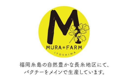 【先行予約販売】糸島産 パクチー 1kg （100g×10袋） 糸島市 / MURA FARM [AFD002]
