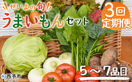 ＜せいよのうまいもんセット 3回定期便＞ 西予市産 愛媛県産 国産 旬 季節の野菜 やさい おまかせ 詰め合わせ 5～7品目 お楽しみ 特産品 百姓百品株式会社 愛媛県 西予市 【冷蔵】『1か月以内に第1回目を順次出荷予定』NHH0005