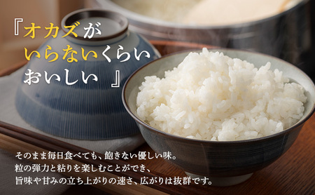いちほまれ 無洗米 10kg 高級ブランド米 いちほまれ