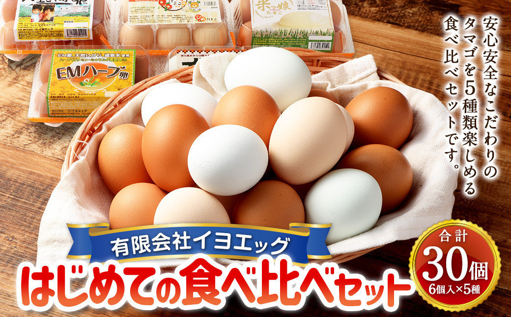 
はじめての食べ比べ セット 6個 × 5種類 （内割れ保証5個､各種1個ずつ） たまご 卵 玉子 タマゴ 国産 愛媛県産 【えひめの町（超）推し！（内子町）】 （476）
