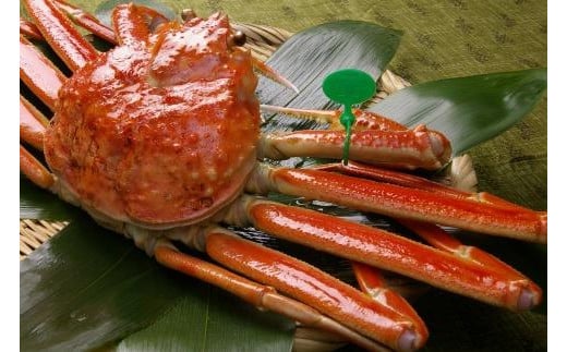 京丹後市産 茹で間人蟹【厳選】大サイズtaizakani900　間人がに 間人ガニ 間人蟹 たいざがに たいざガニ