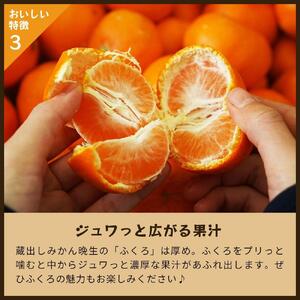 蔵出しみかん晩生｜和歌山県海南市下津町の特産品蔵出しみかんの晩生品種【2025年1月発送開始】