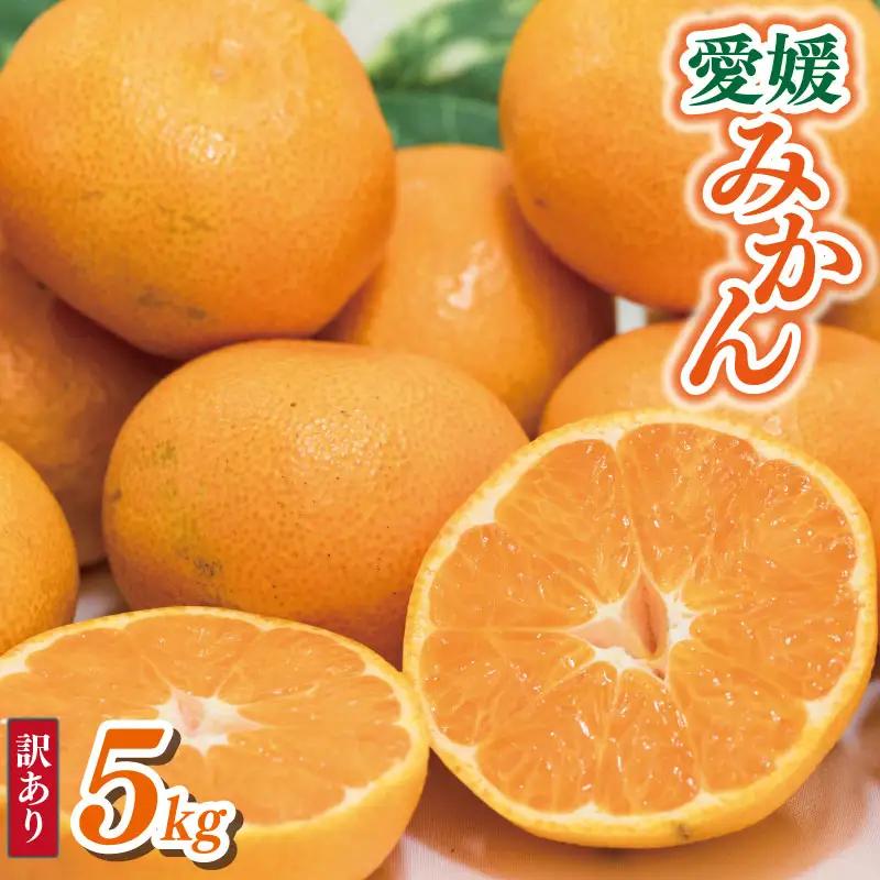【みかん】 訳あり 愛媛みかん 5kg 【VEG1031】
