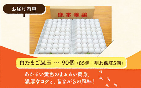 白たまごM玉卵90個(85個＋5個割れ保証)卵タマゴZCA001