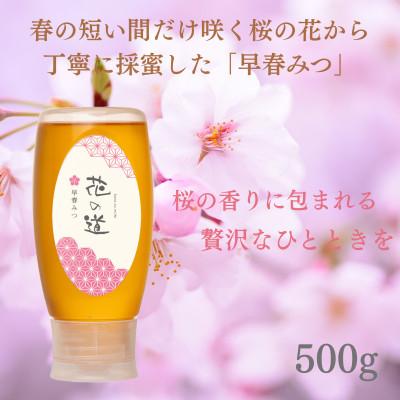 ふるさと納税 広川町 早春みつ　500g(広川町)